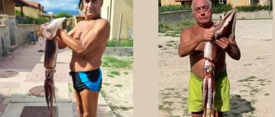 Totano gigante pescato nei fondali di Cropani Marina