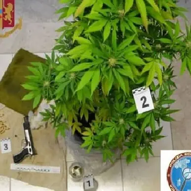 Lido: 34enne in arresto per armi, munizioni e droga