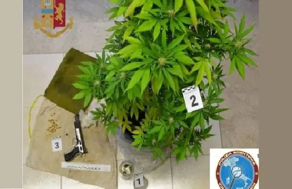 Lido: 34enne in arresto per armi, munizioni e droga