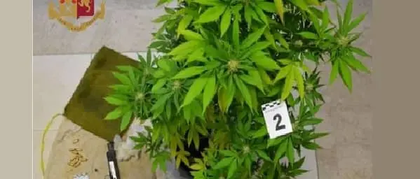 Lido: 34enne in arresto per armi, munizioni e droga