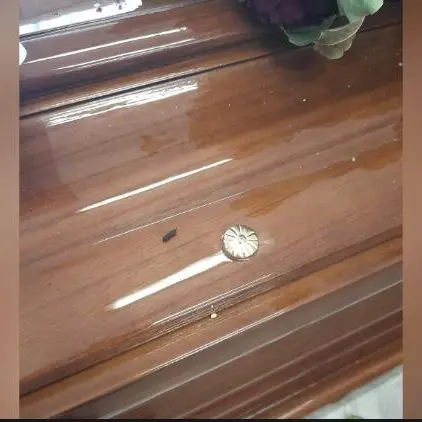 Caldo e sovraffollamento in obitorio: arrivano i topi