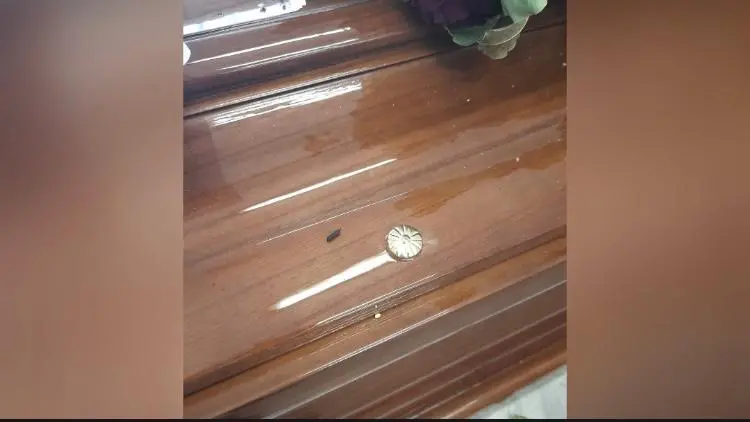 Caldo e sovraffollamento in obitorio: arrivano i topi