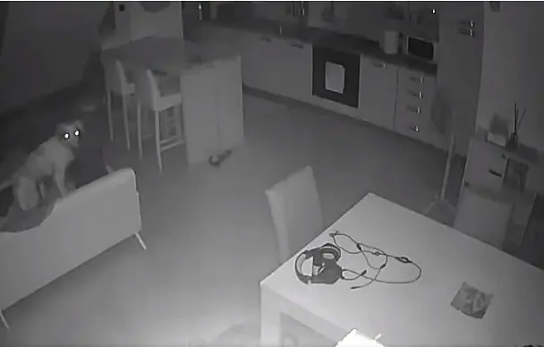 Scuole chiuse dopo la scossa di terremoto notturna -VIDEO