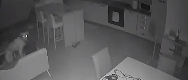 Scuole chiuse dopo la scossa di terremoto notturna -VIDEO