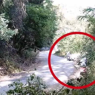 Incendio Pianopoli, incastrati due giovani piromani - VIDEO