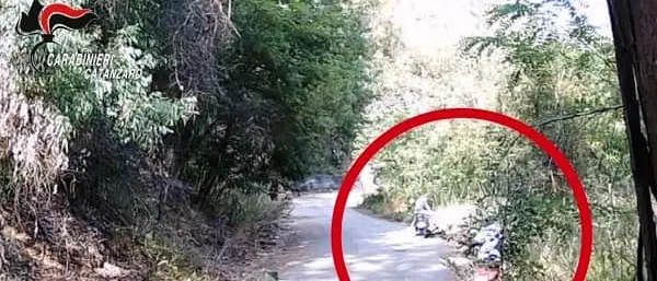 Incendio Pianopoli, incastrati due giovani piromani - VIDEO