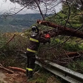 Maltempo, tromba d'aria nel Lametino