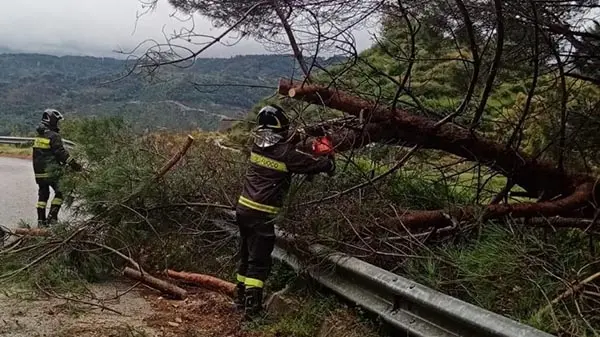 Maltempo, tromba d'aria nel Lametino