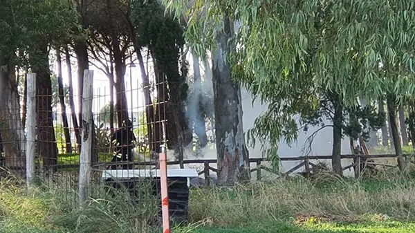 Principio d'incendio doloso in pineta a Giovino