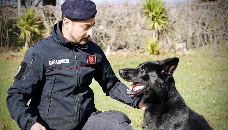Cane tenuto in furgone, sanzionato proprietario