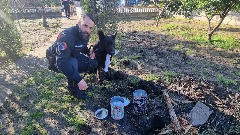 Droga: Collins 'scava' in giardino e fa arrestare 20enne