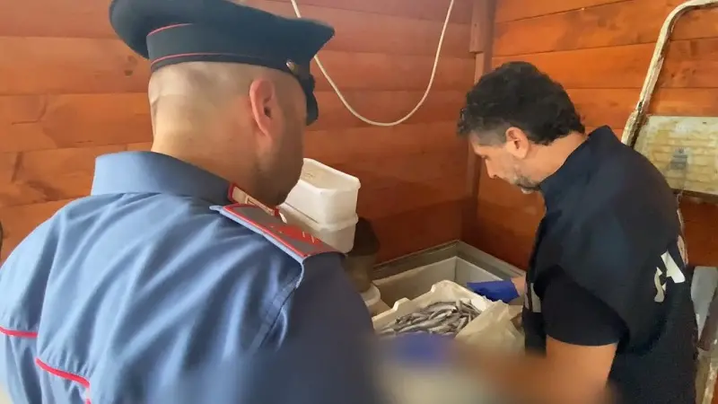 Sanzioni a due stabilimenti di Lido ed un camping a Borgia