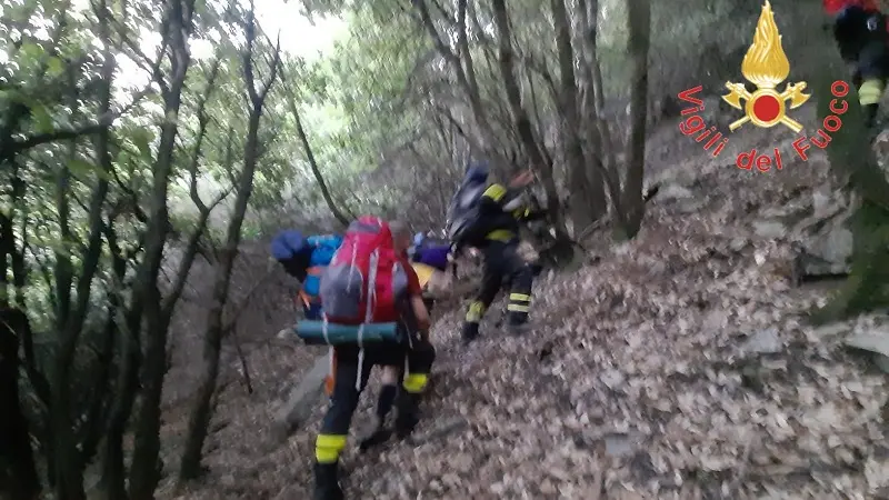 Sette scout si pèrdono tra i boschi silani