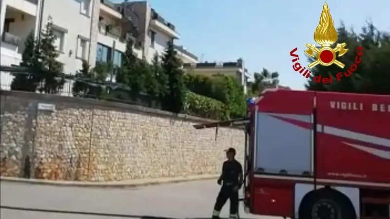 Incendio sulle colline di Sala: impegnati due autobotti e 15 Vvf - VIDEO