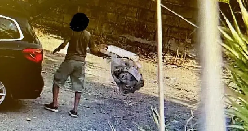 Rifiuti: foto-trappole mobili incastrano altri incivili