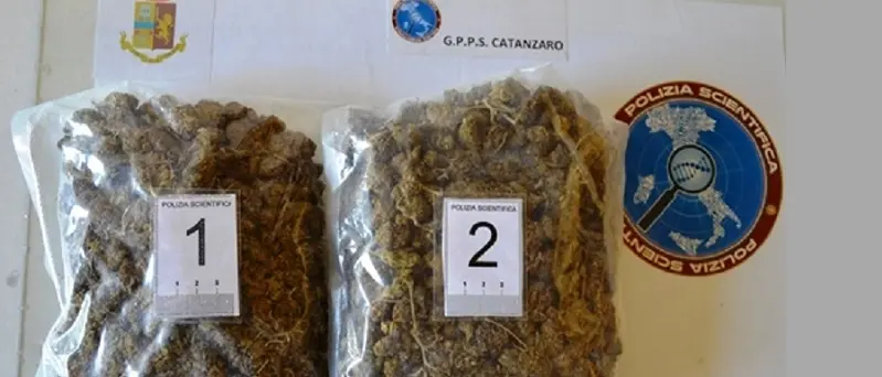 Droga: vedono due agenti e si tradiscono in viale Isonzo