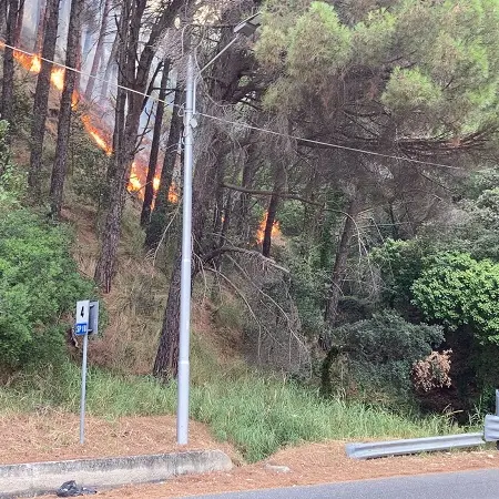 Siano, Bosco Li Comuni: il fuoco è arrivato alla strada -VIDEO