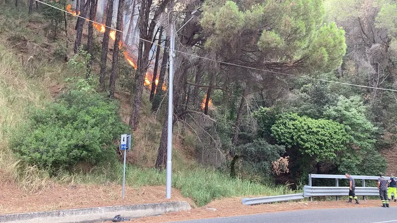 Siano, Bosco Li Comuni: il fuoco è arrivato alla strada -VIDEO