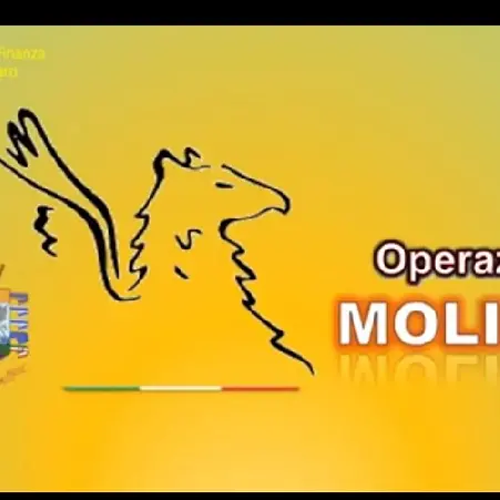 Falsi certificati: Gdf indaga su 41 medici Asp assenteisti -VIDEO