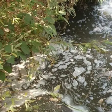 Rilevato altro scarico fognario nel fiume Corace, proveniente da Lido