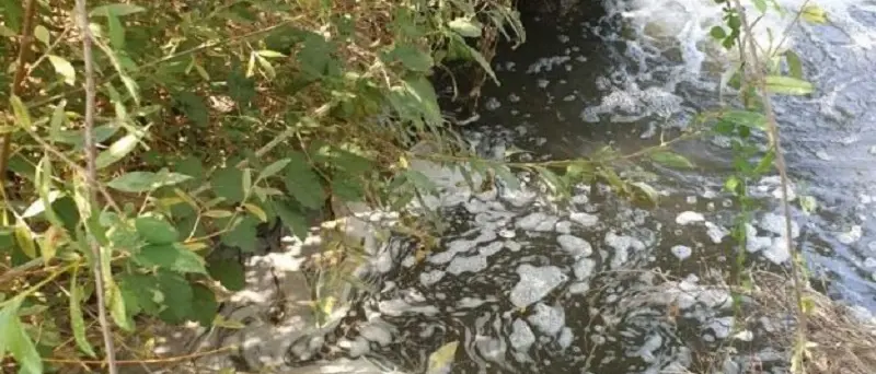 Rilevato altro scarico fognario nel fiume Corace, proveniente da Lido