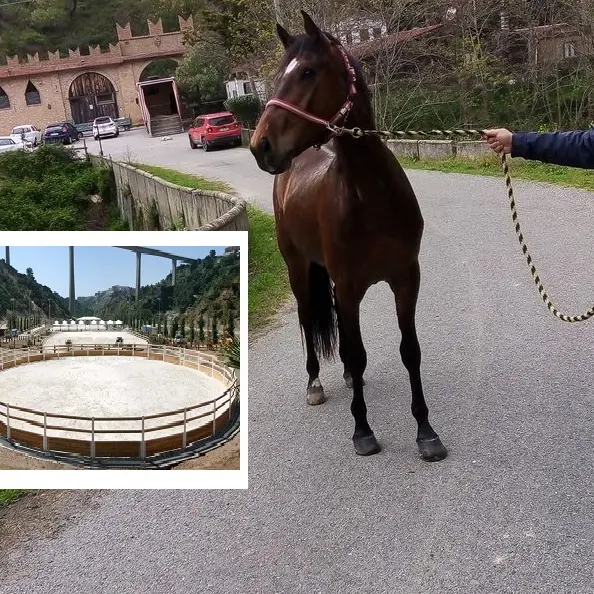 Morto Pippo Sestito, uno dei feriti nella rissa a Valle dei Mulini