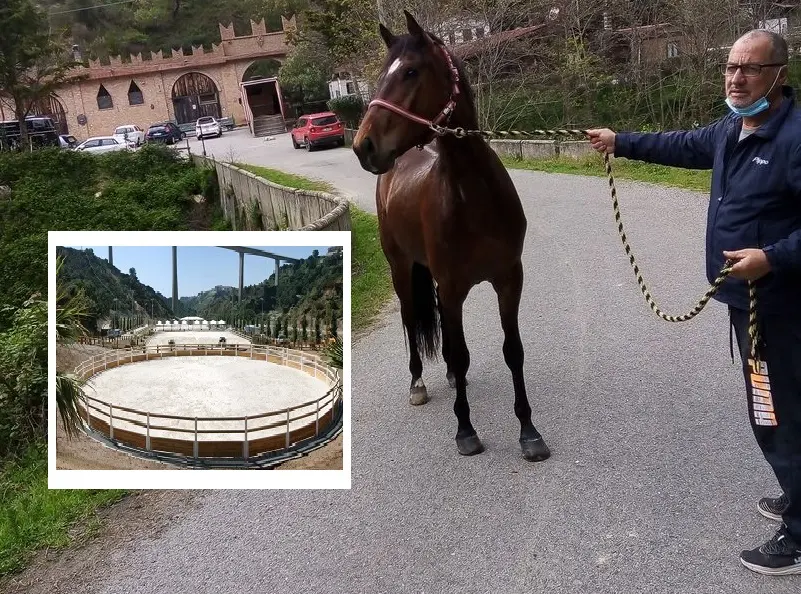 Morto Pippo Sestito, uno dei feriti nella rissa a Valle dei Mulini