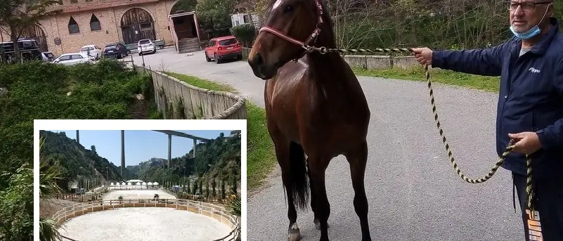 Morto Pippo Sestito, uno dei feriti nella rissa a Valle dei Mulini