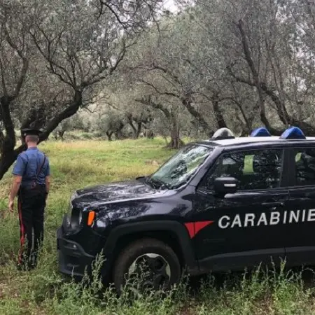 Girifalco, sospesa attività azienda conserve sott'olio