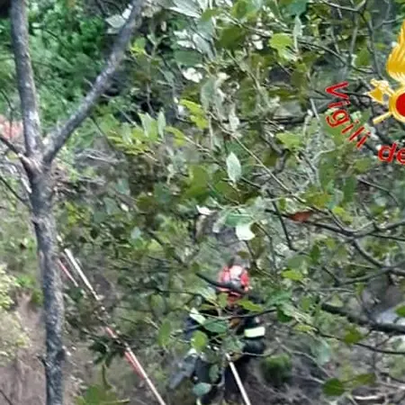 San Sostene: precipita da scarpata, 70enne salvato dai vigili del fuoco