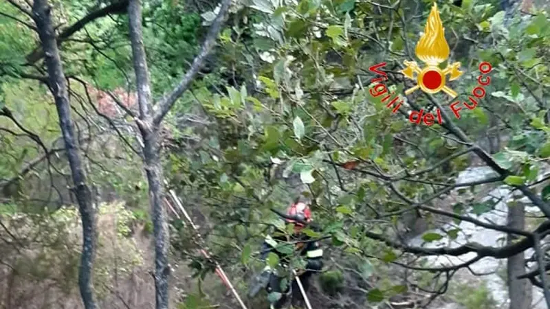 San Sostene: precipita da scarpata, 70enne salvato dai vigili del fuoco