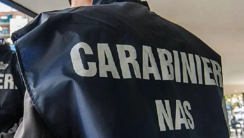 Bar, pizzerie, sale scommesse e palestre: controlli e multe in città