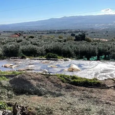 Scarichi nel terreno: oleificio sequestrato, titolare denunciato