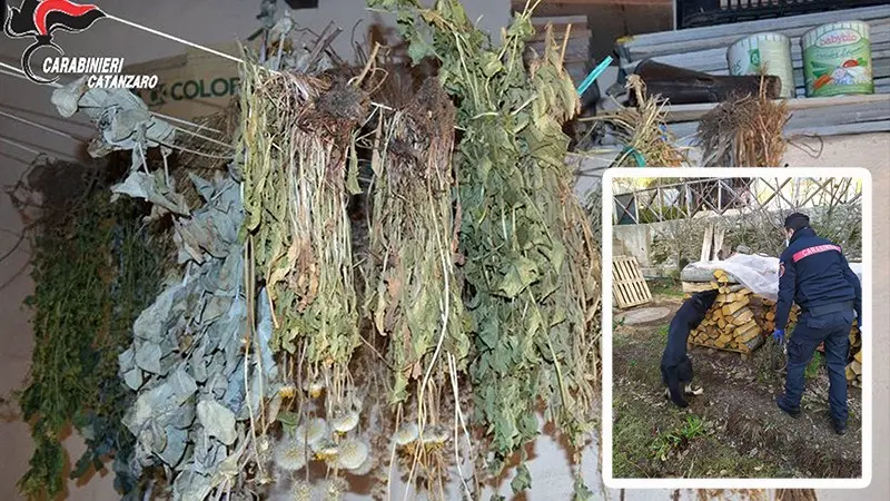 Il fiuto del cane tradisce 42enne: arrestato per spaccio