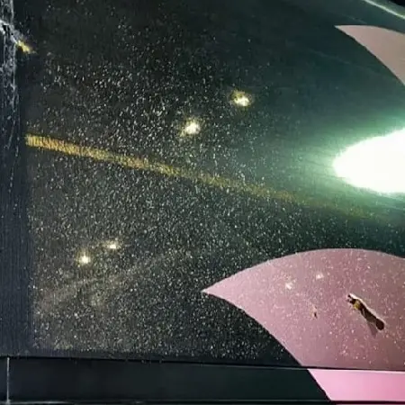 Pullman Palermo Calcio, responsabili a cena in ristorante