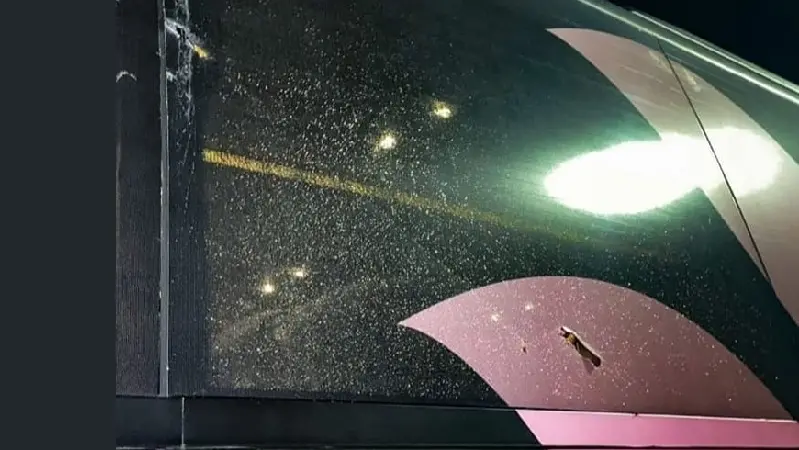 Pullman Palermo Calcio, responsabili a cena in ristorante