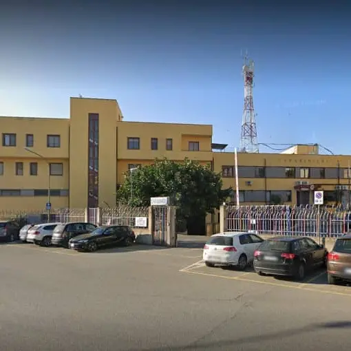 Meticcio azzanna padrona al volto: ricoverata al Pugliese-Ciaccio