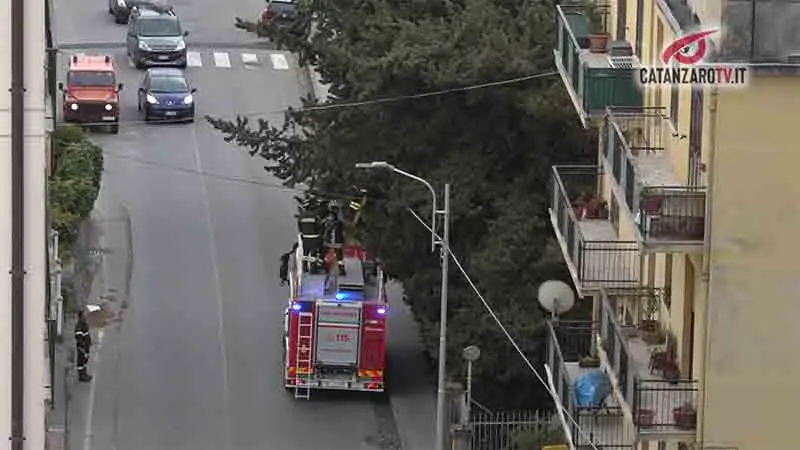 Maltempo, raffiche di vento a 100 km/h su Gimigliano