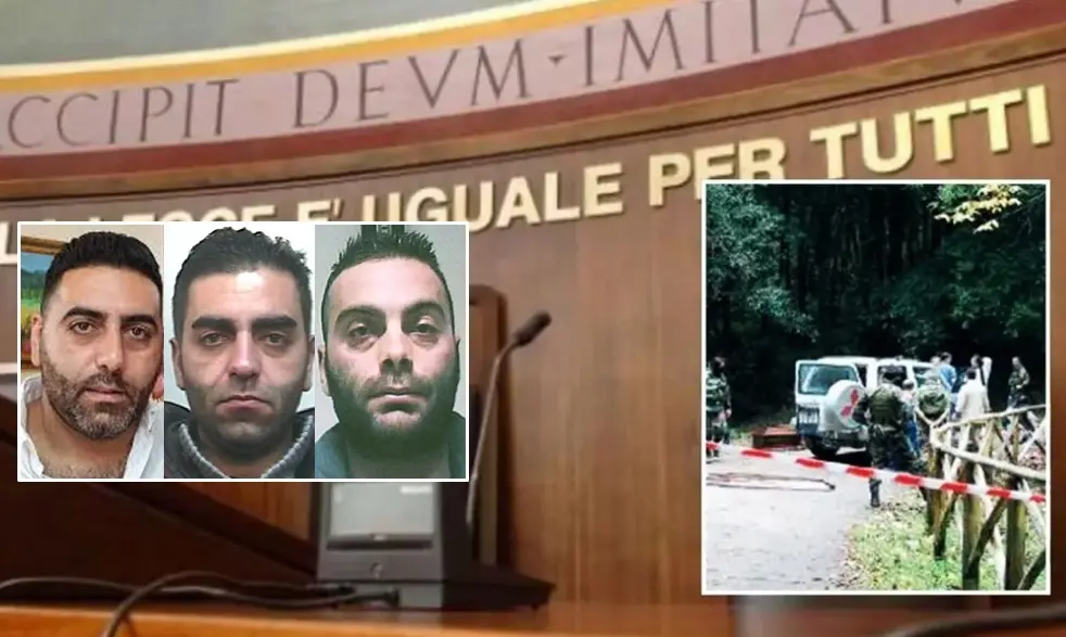 ‘Ndrangheta, strage di Ariola: in Corte d’Assise la deposizione dell’investigatore dell’Arma di Vibo\n