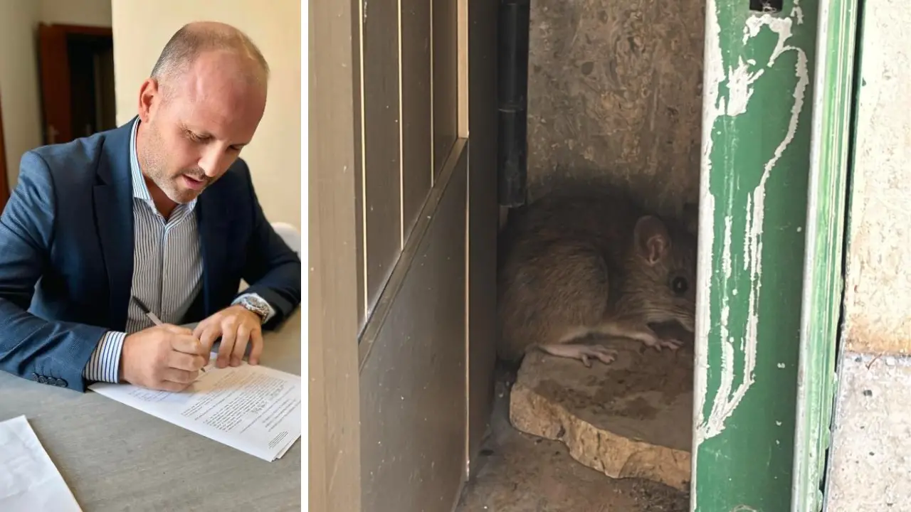 Vibo Marina, scuole chiuse per… topi. Schiavello (Fdi) chiede un Consiglio straordinario: «Basta, situazione insostenibile»\n