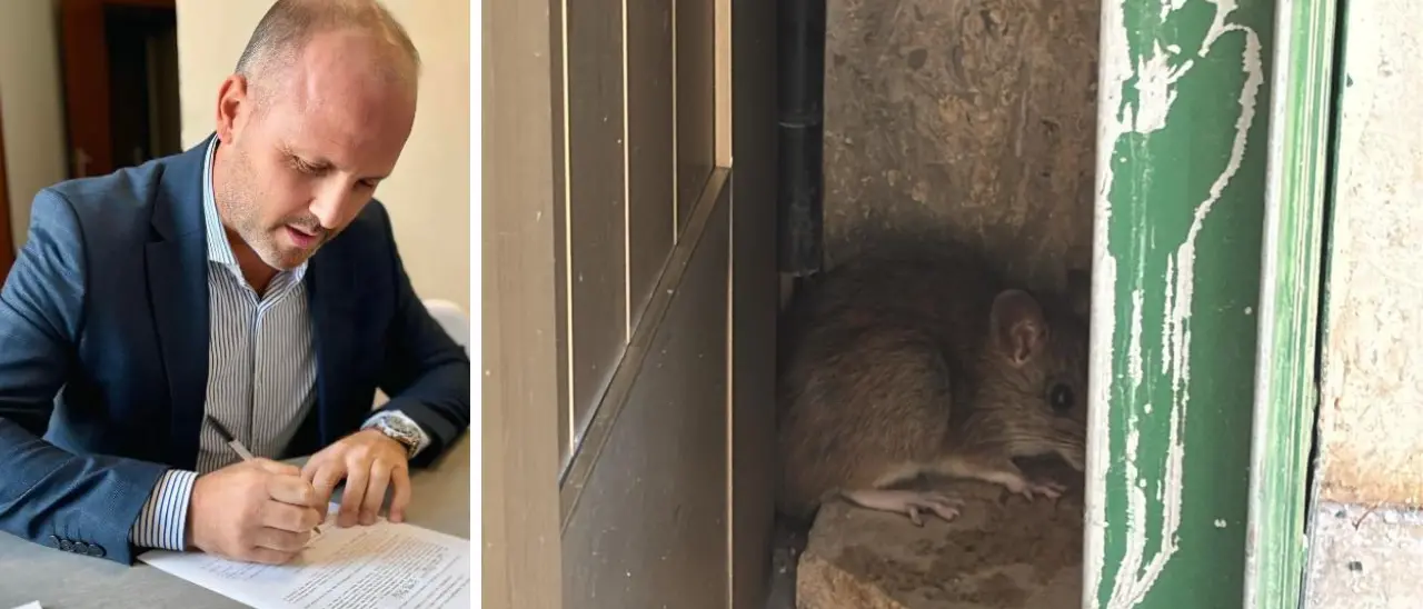 Vibo Marina, scuole chiuse per… topi. Schiavello (Fdi) chiede un Consiglio straordinario: «Basta, situazione insostenibile»\n