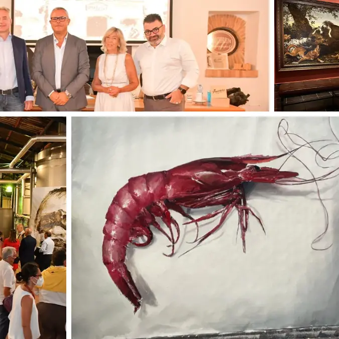 Dalla Calabria al Belgio, il Gambero viola di Cariati in mostra in un museo di Aversa