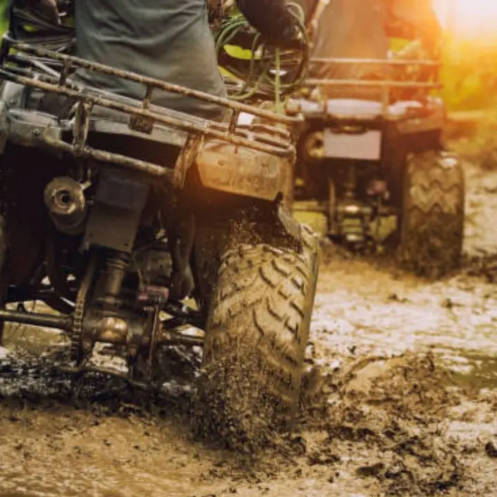 Beni sequestrati ad Erminio Pezzi: sigilli anche all’attività di quad in Sila\n