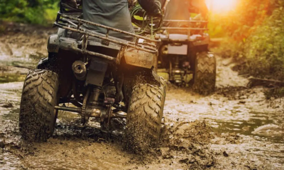 Beni sequestrati ad Erminio Pezzi: sigilli anche all’attività di quad in Sila\n