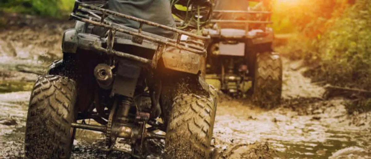 Beni sequestrati ad Erminio Pezzi: sigilli anche all’attività di quad in Sila\n