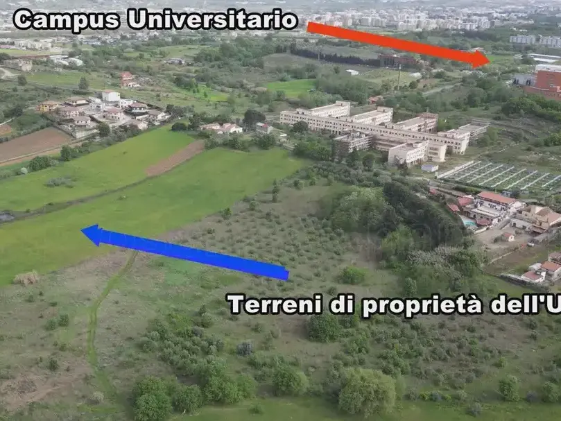 Nuovo ospedale Cosenza, è ancora scontro: Comune e comitato No Scippo puntano su Vaglio Lise, ma la Regione ha già scelto Arcavacata