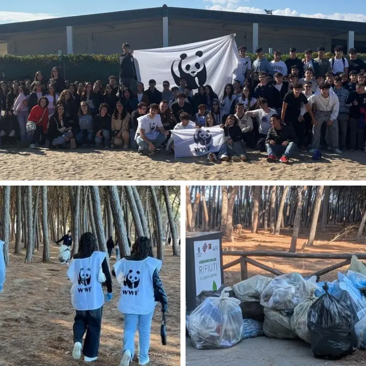 Filadelfia, il Wwf e 150 studenti dell’Istituto Montalcini ripuliscono la spiaggia di Colamaio a Pizzo\n