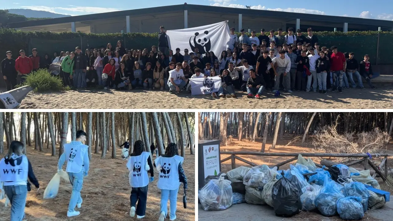 Filadelfia, il Wwf e 150 studenti dell’Istituto Montalcini ripuliscono la spiaggia di Colamaio a Pizzo\n