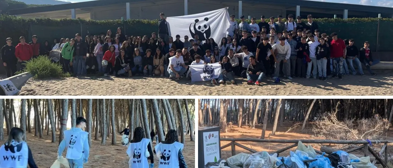 Filadelfia, il Wwf e 150 studenti dell’Istituto Montalcini ripuliscono la spiaggia di Colamaio a Pizzo\n