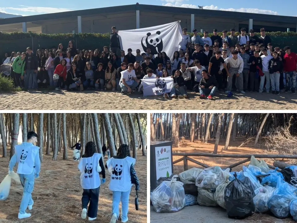 Filadelfia, il Wwf e 150 studenti dell’Istituto Montalcini ripuliscono la spiaggia di Colamaio a Pizzo